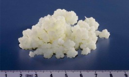 Cush Food introduces Kefir Grains