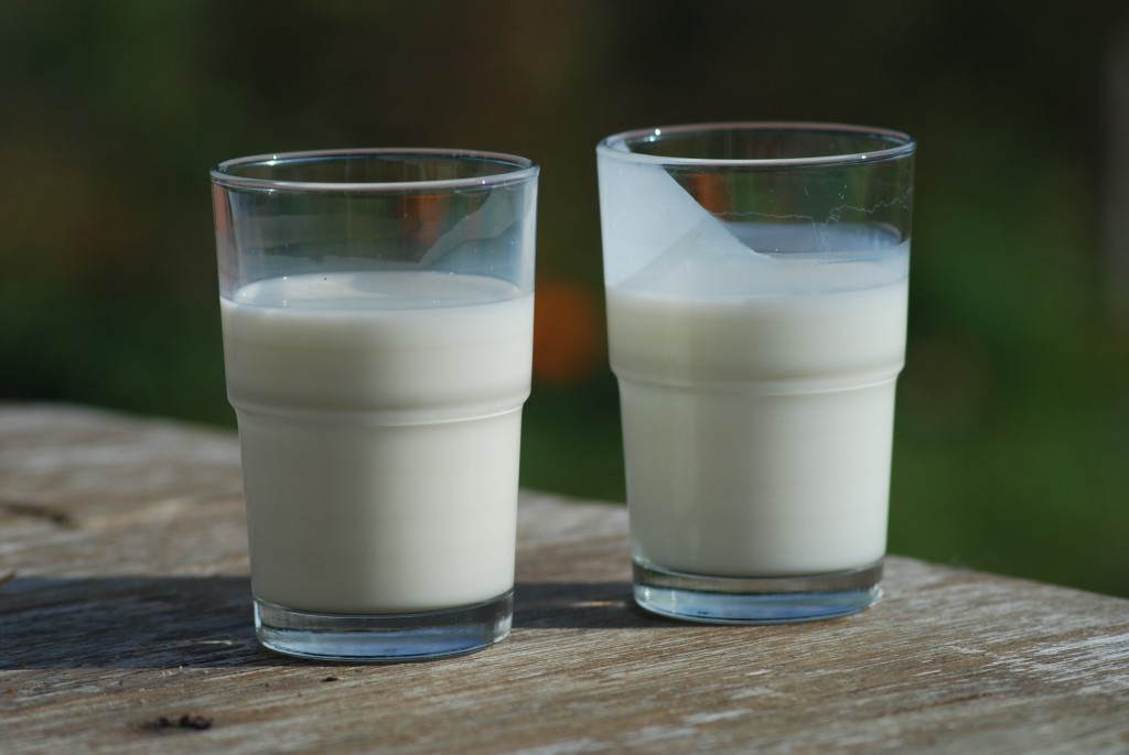 Healthy Milk Kefir Drink from CushFood.com