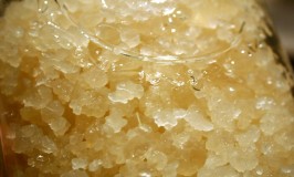 Crystal Like Kefir Grains