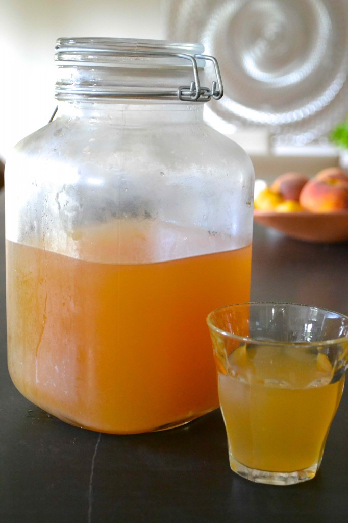 Frizzy Taste Water Kefir