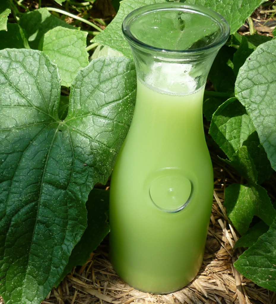 Bitter Melon Juice