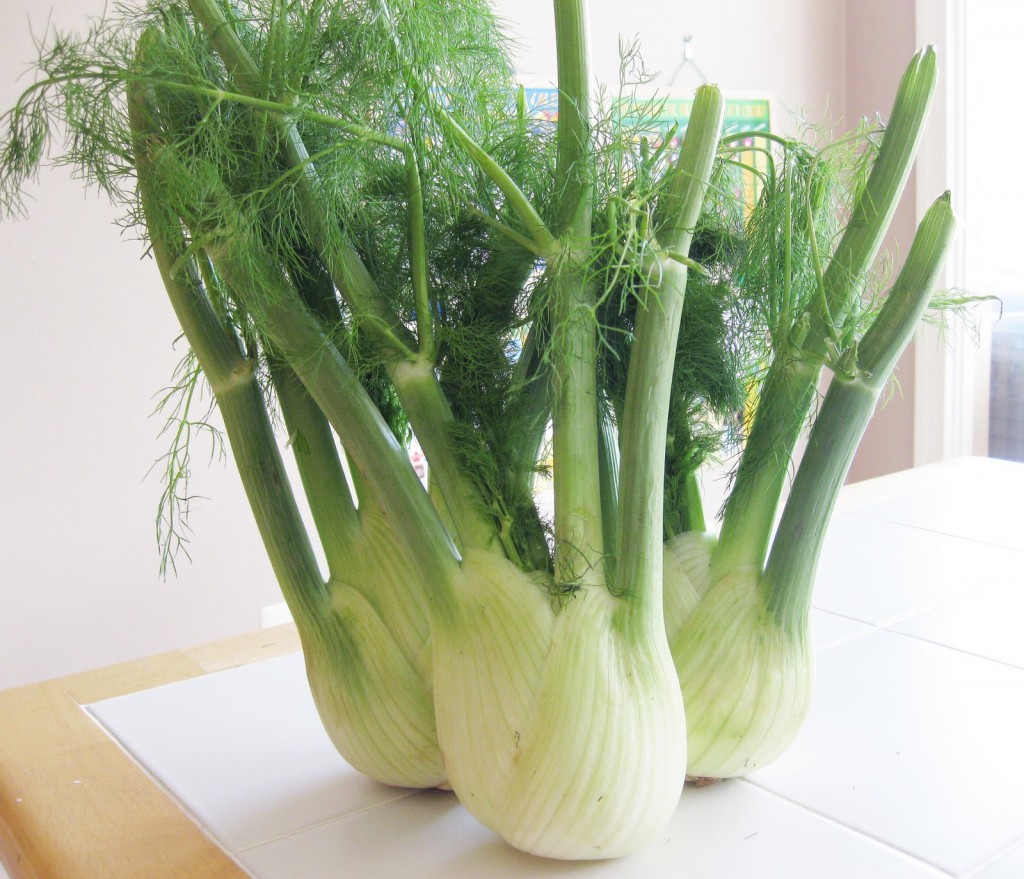 Buy Fennel Plant