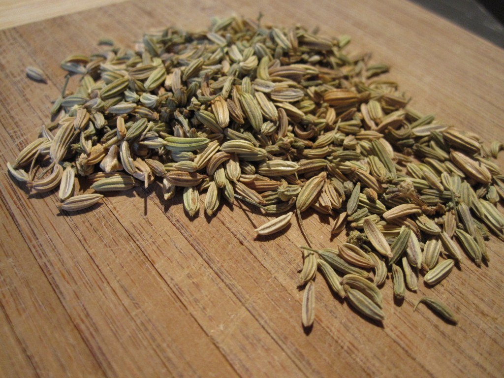 Buy Fennel Seeds