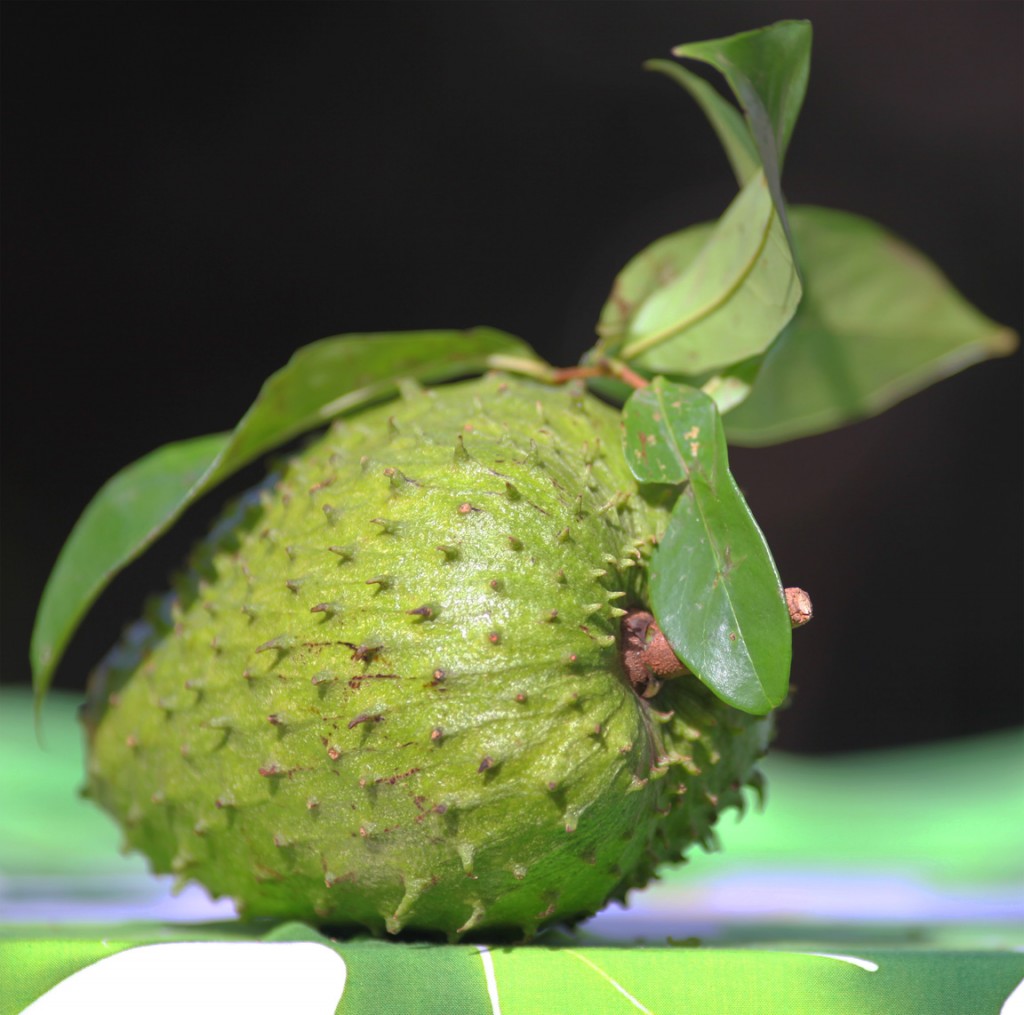 Buy Soursop Fruit
