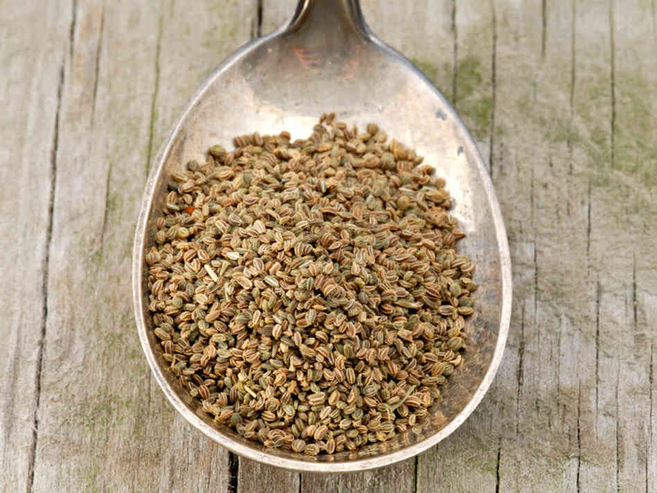 Cooking Fennel Seeds