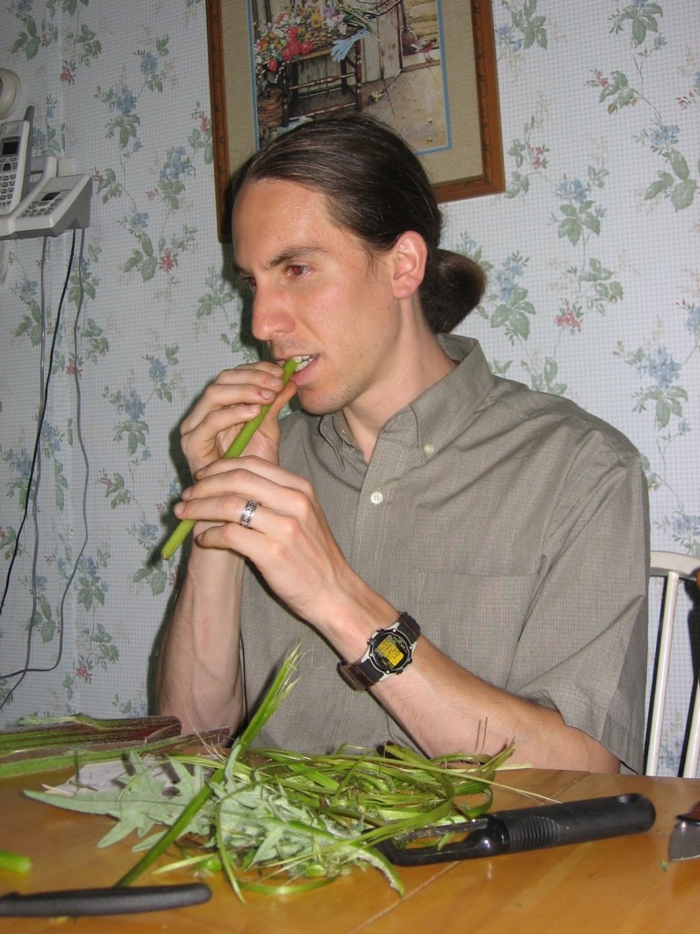 Eat Milk Thistle
