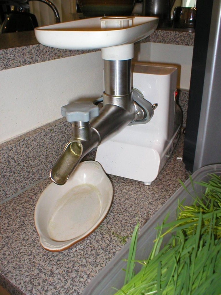 Electric Wheatgrass Juicer