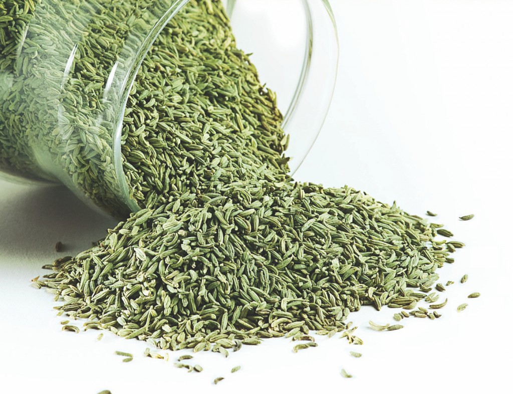 Uses of Fennel Seeds