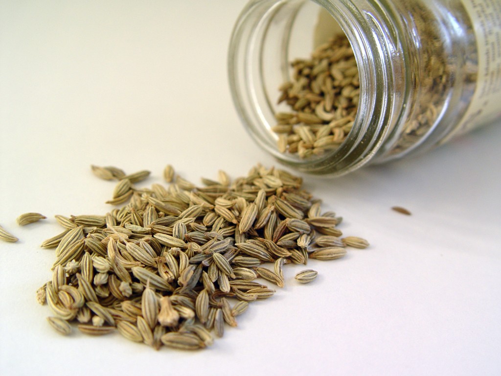 Benefits of Fennel Seeds