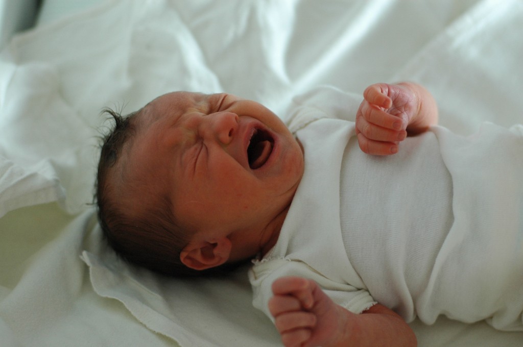 Fennel Seeds For Colic