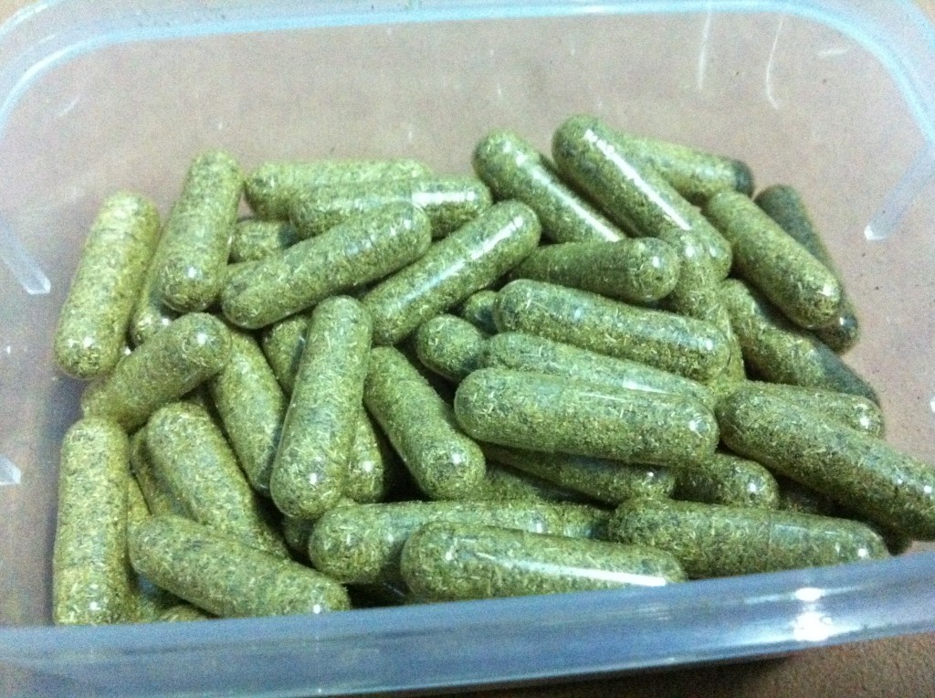 Fennel Seeds Supplements