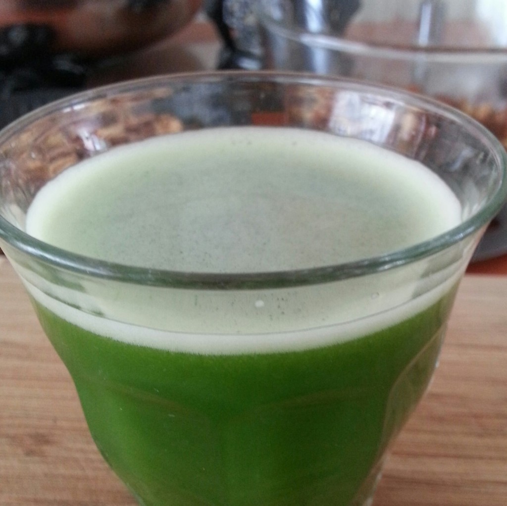 Juicing Bitter Melon