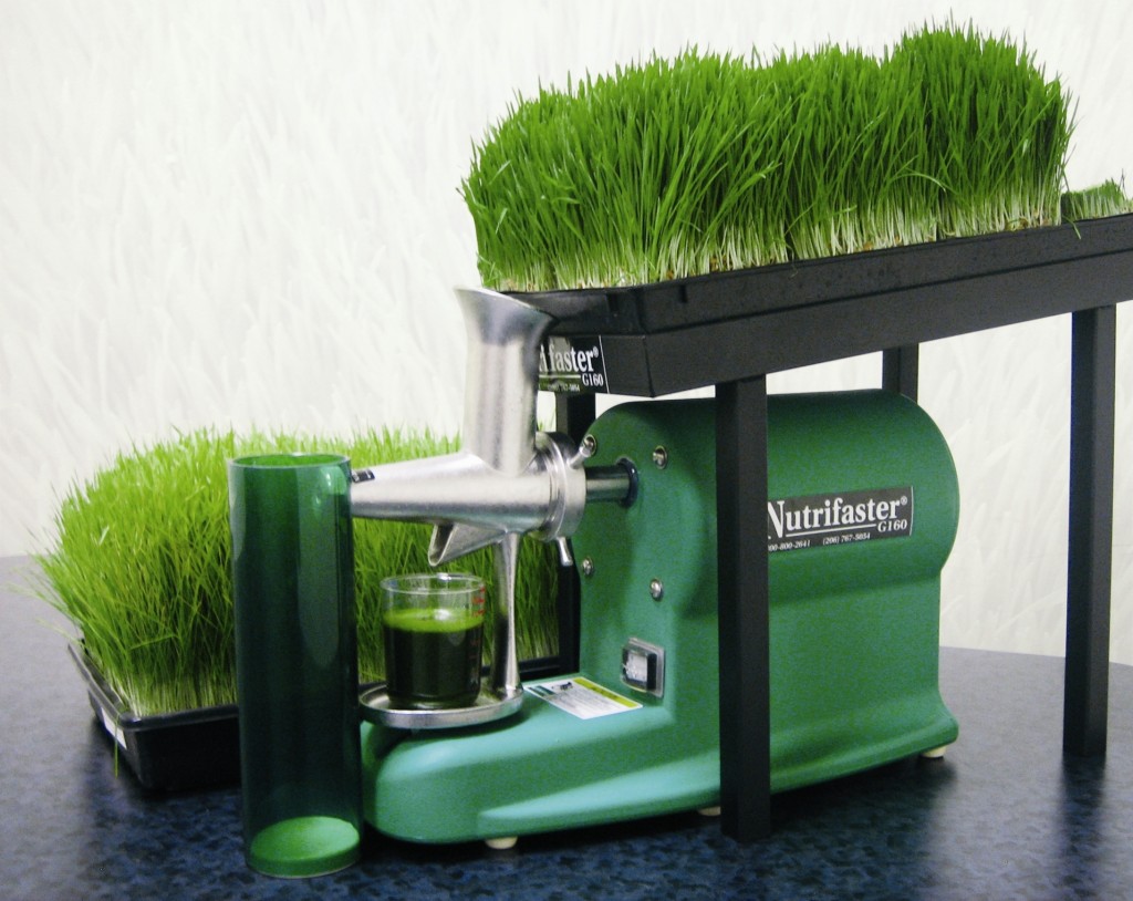 Manual Wheatgrass Juicer
