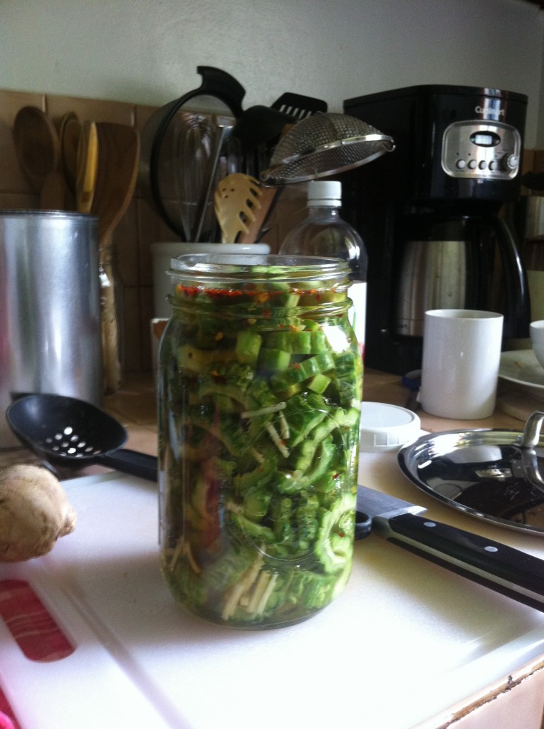 Pickled Bitter Melon