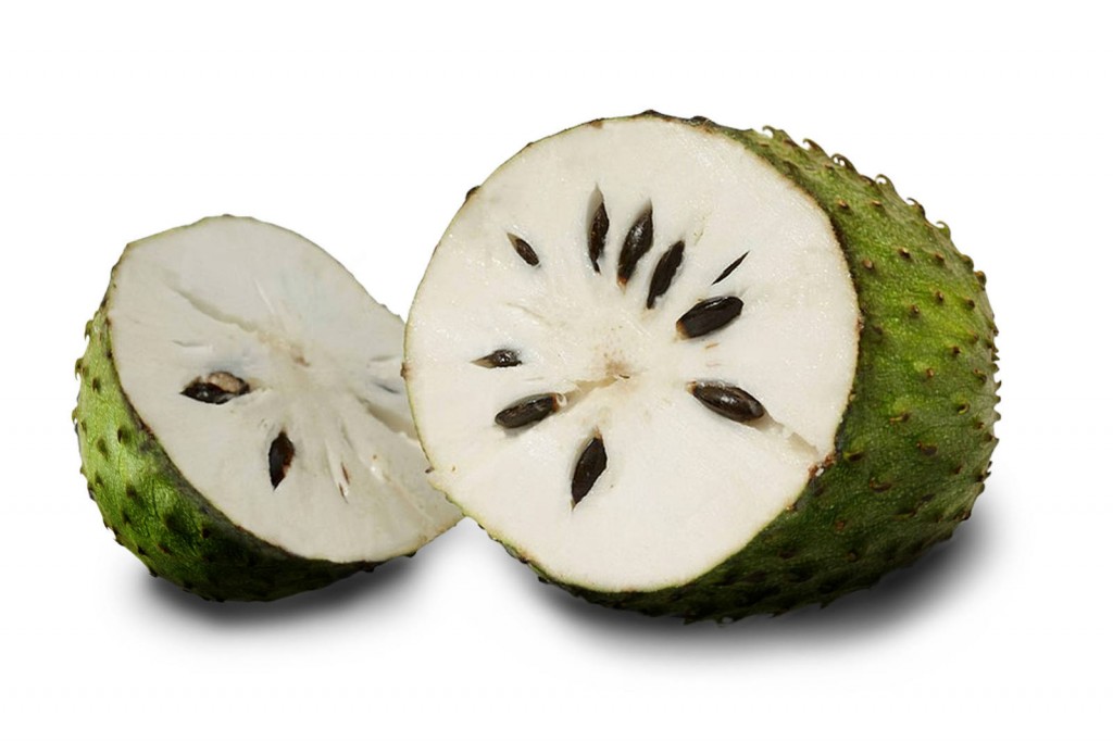 Soursop fruit