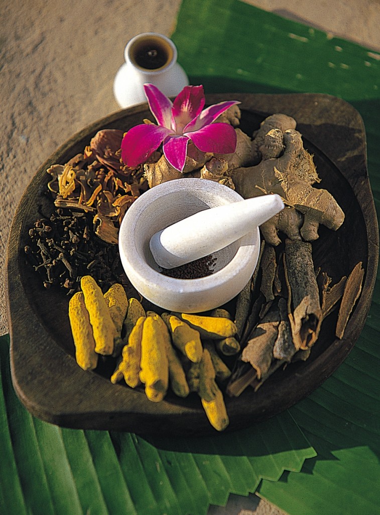 Ayurvedic Herbs